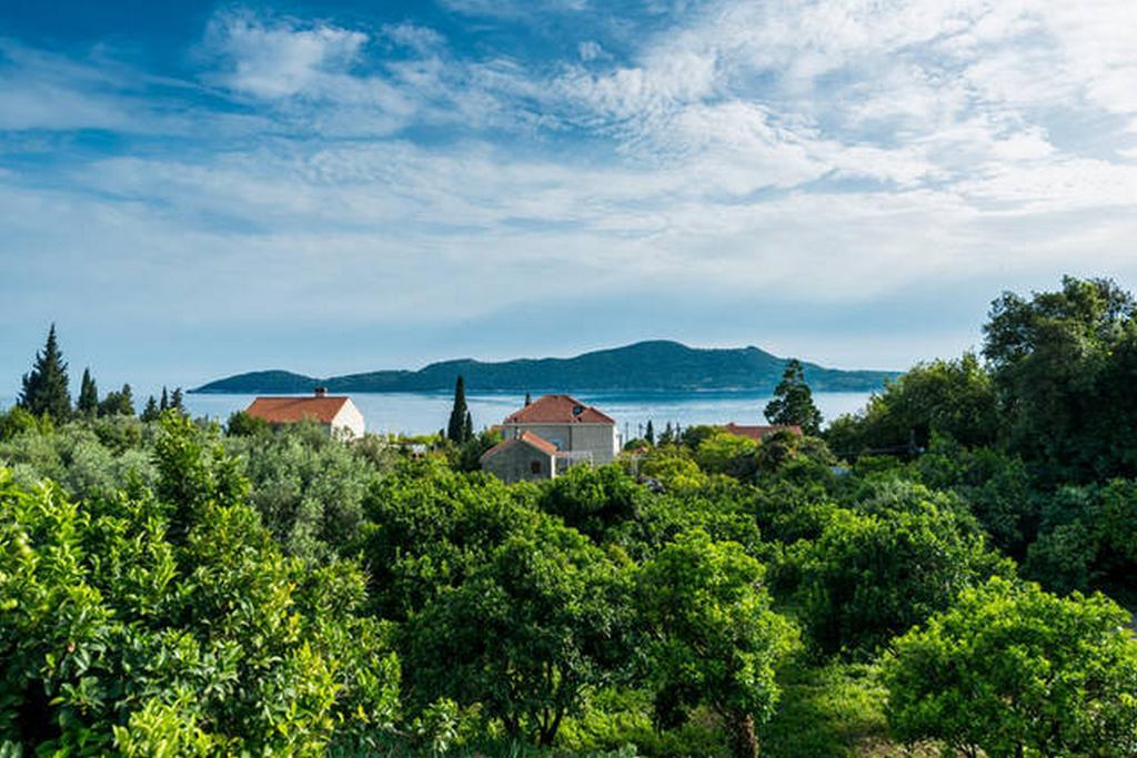 Green Apartment Trsteno Dış mekan fotoğraf