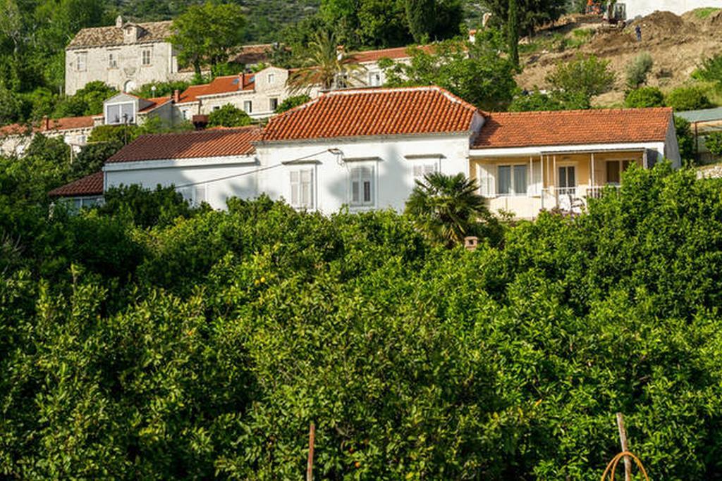 Green Apartment Trsteno Dış mekan fotoğraf